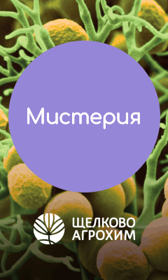 Мистерия