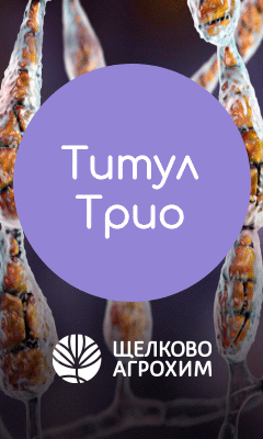 Титул Трио