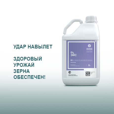 Новинка